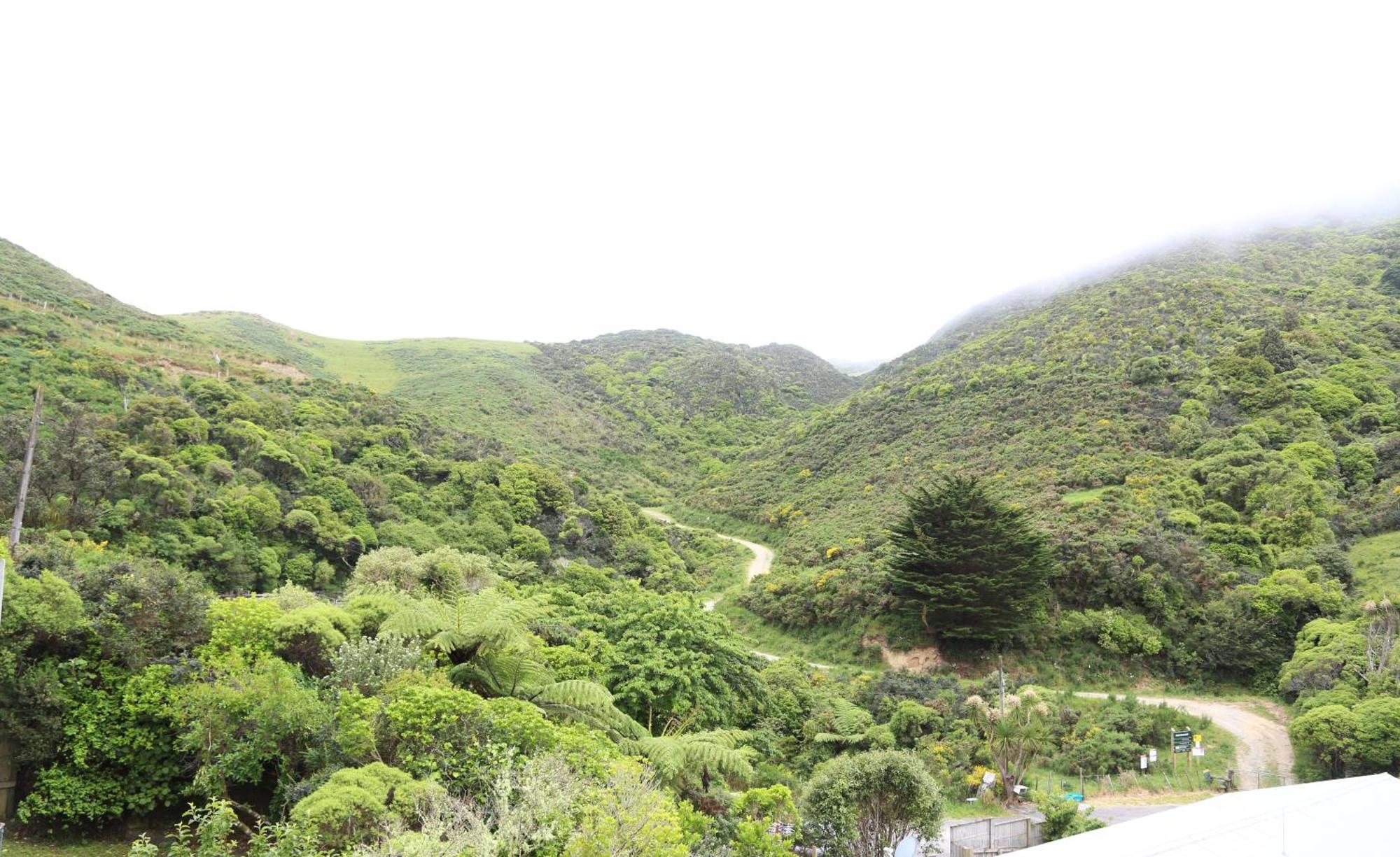 Skyline Haven - Entire Apartment - Free Parking, Espresso, Netflix - 15M To Cbd, Stadium, Ferry Wellington Esterno foto